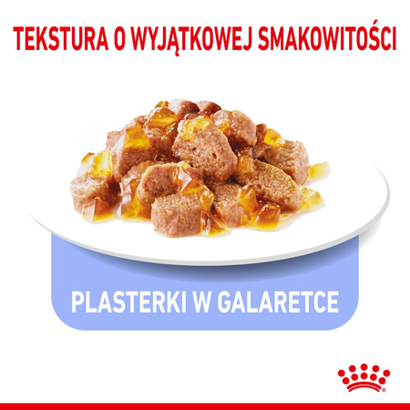 ROYAL CANIN Light Weight Care 12x85g w galaretce karma mokra w galaretce dla kotów dorosłych, z tendencją do nadwagi