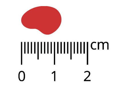 Pan Mięsko Wołowina z koziną chrupki M 3kg + GRATIS