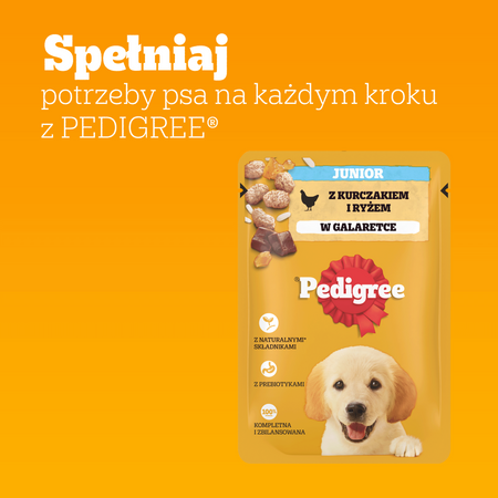 Pedigree Junior Kurczak ryż w galaretce 100g