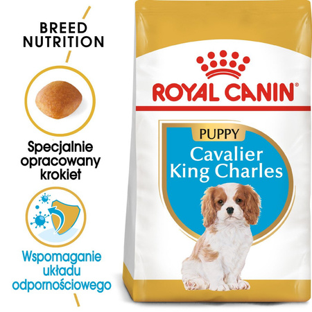 ROYAL CANIN Cavalier King Charles Spaniel Puppy