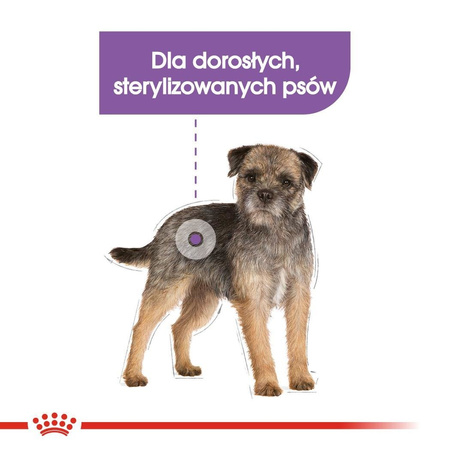 ROYAL CANIN CCN Mini Sterilised 1kg
