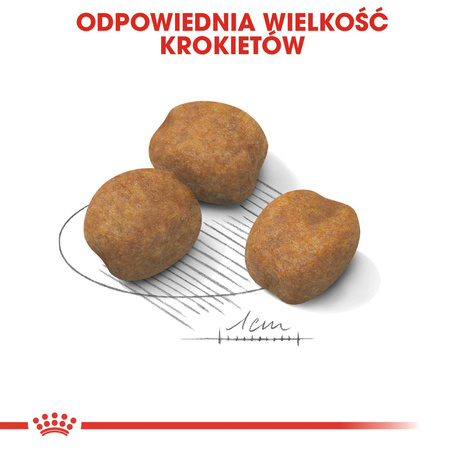 ROYAL CANIN Giant Puppy karma sucha dla szczeniąt, od 2 do 8 miesiąca życia, ras olbrzymich 15kg