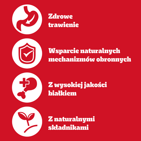 PEDIGREE Adult puszka 400g - mokra karma dla psów, z wołowiną w galaretce