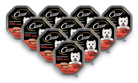 CESAR tacka 14x150g – mokra karma pełnoporcjowa dla dorosłych psów, teryna z soczystą wołowiną i wątróbką
