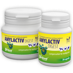 Vetfood Amylactiv Digest 30tab.