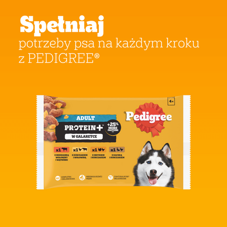 Pedigree Adult Protein+ mix smaków w galaretce 4x 85g