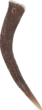 ZOLUX Poroże jelenia HARD w całości - psy o wadze poniżej 15 kg