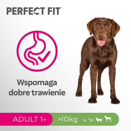 Perfect Fit Adult dla dorosłych psów dużych ras, bogata w kurczaka 2,6 kg