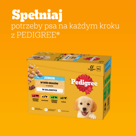 Pedigree Junior Wybór Smaków z ryżem w galaretce 12x 100g
