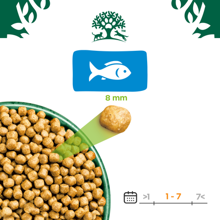 James Wellbeloved Adult 4 kg – sucha karma pełnoporcjowa dla dorosłych kotów 1-7 lat, bogata w rybę