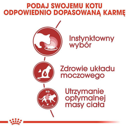 ROYAL CANIN Instinctive w galaretce karma mokra w galaretce dla kotów dorosłych, wybrednych