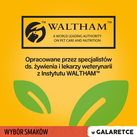 Pedigree Mix smaków w galaretce 4x 100g