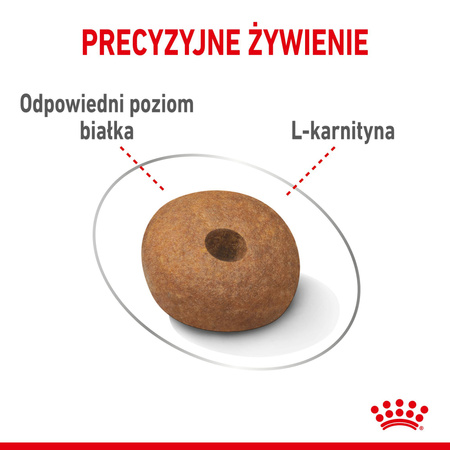 ROYAL CANIN Medium Light Care 3kg karma sucha dla psów dorosłych, ras średnich tendencją do nadwagi