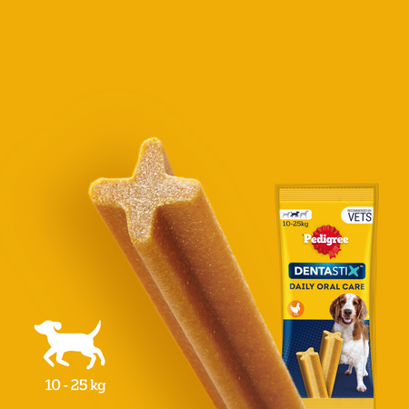 Pedigree Dentastix Medium 77g