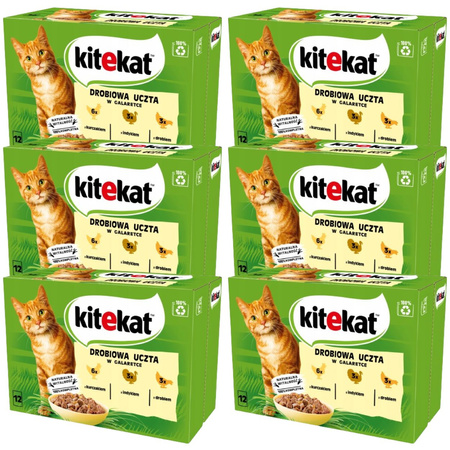 Kitekat mix smaków w galaretce 6x 12x 85g
