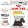 ROYAL CANIN CCN Dermacomfort karma mokra - pasztet dla psów dorosłych o wrażliwej skórze, skłonnej do podrażnień