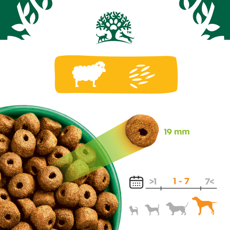 James Wellbeloved Adult 10 kg – sucha karma pełnoporcjowa dla dorosłych psów dużych ras >14 miesięcy - 10 lat, bogata w jagnięcinę i ryż