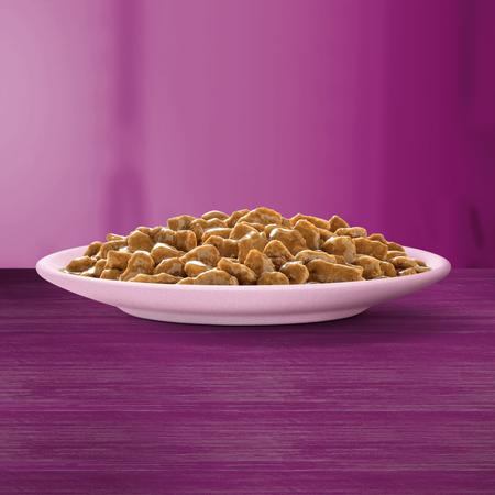 WHISKAS Adult saszetka łosoś 28x85 g