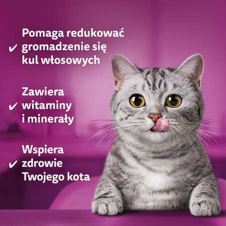 Whiskas Anti-Hairball przysmaki odkłaczające 50g