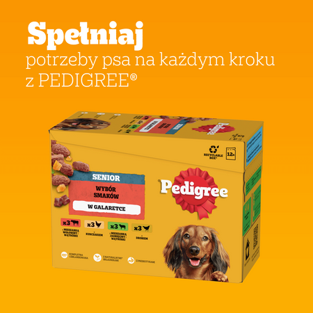Pedigree Senior Wybór Smaków w galaretce 12x 100g