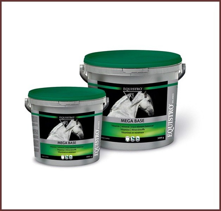 VETOQUINOL EQUISTRO MEGA BASE 3 kg