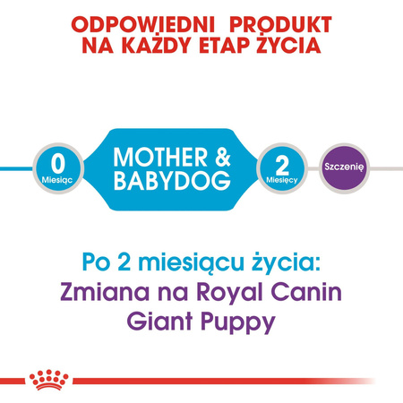 ROYAL CANIN Giant Starter Mother&Babydog karma sucha dla suk w ciąży i laktacji oraz szczeniąt, od 4 do 8 tygodnia życia, ras olbrzymich