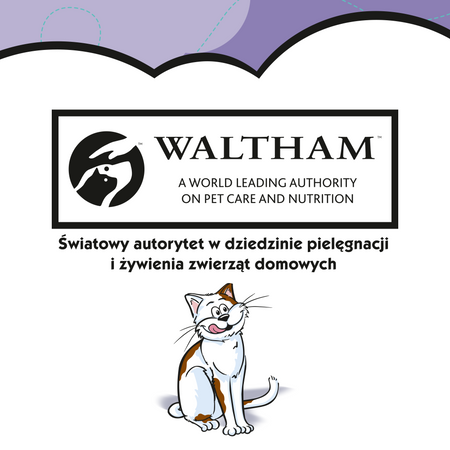 Dreamies z kaczką przysmaki dla kota 12x 60g