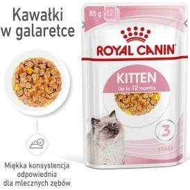 ROYAL CANIN Kitten Instinctive w galaretce