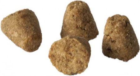 OBT Oven Baked Tradition Dog Food Fish Small Breed 2,27kg z rybą