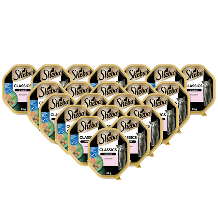 SHEBA Classics tacka 22x85 g – mokra karma pełnoporcjowa dla dorosłych kotów, z łososiem, w terynie