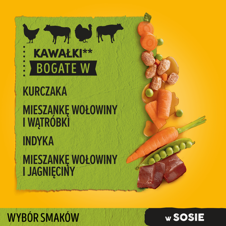 PEDIGREE Adult saszetka 24x100 g - Wybór Smaków z Warzywami w Sosie - mokra karma pełnoporcjowa dla dorosłych psów