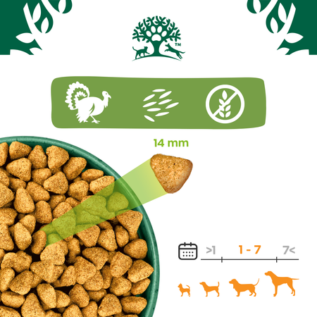 James Wellbeloved Adult 1,5 kg – bezzbożowa sucha karma pełnoporcjowa dla dorosłych psów 1-7 lat, bogata w indyka i warzywa