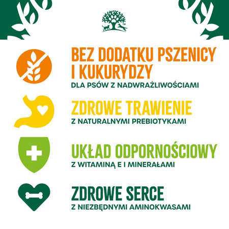 James Wellbeloved Senior 2 kg – sucha karma pełnoporcjowa dla starszych psów >7 lat, bogata w indyka i ryż