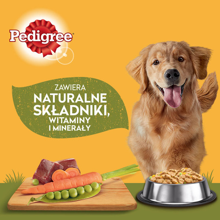 PEDIGREE Adult saszetka 24x100 g - Wybór Smaków z Warzywami w Sosie - mokra karma pełnoporcjowa dla dorosłych psów
