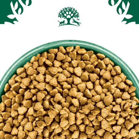 James Wellbeloved Junior 2 kg – sucha karma pełnoporcjowa dla szczeniąt <14 miesięcy, bogata w indyka i ryż