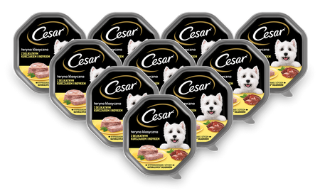 CESAR tacka 14x150g – mokra karma pełnoporcjowa dla dorosłych psów, teryna z delikatnym kurczakiem i indykiem