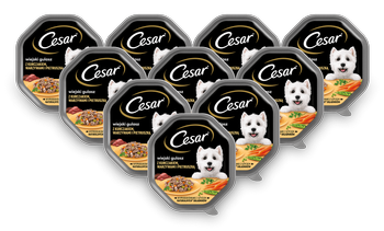 CESAR tacka 14x150g – mokra karma pełnoporcjowa dla dorosłych psów, w sosie, z kurczakiem, warzywami i pietruszką