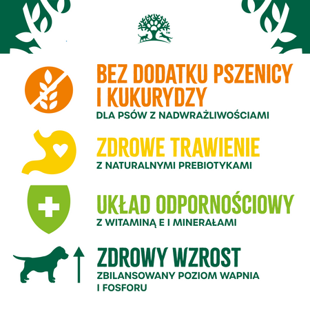 James Wellbeloved Junior 2 kg – sucha karma pełnoporcjowa dla szczeniąt <14 miesięcy, bogata w jagnięcinę i ryż