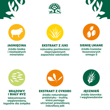 James Wellbeloved Adult 2 kg – sucha karma pełnoporcjowa dla dorosłych psów 1-7 lat, bogata w jagnięcinę i ryż