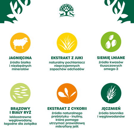 James Wellbeloved Adult 12 kg – sucha karma pełnoporcjowa dla dorosłych psów 1-7 lat, bogata w jagnięcinę i ryż