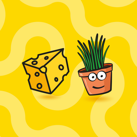 Dreamies Creamy z serem i z kocimiętką 12x 10g