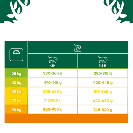 James Wellbeloved Adult 10 kg – sucha karma pełnoporcjowa dla dorosłych psów dużych ras >14 miesięcy - 10 lat, bogata w indyka i ryż