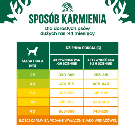 James Wellbeloved Adult 10 kg – sucha karma pełnoporcjowa dla dorosłych psów dużych ras >14 miesięcy - 10 lat, bogata w indyka i ryż