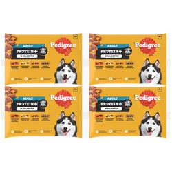 Pedigree Adult Protein+ mix smaków w galaretce 4x 4x 85g
