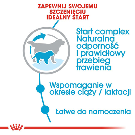 ROYAL CANIN Giant Starter Mother&Babydog karma sucha dla suk w ciąży i laktacji oraz szczeniąt, od 4 do 8 tygodnia życia, ras olbrzymich
