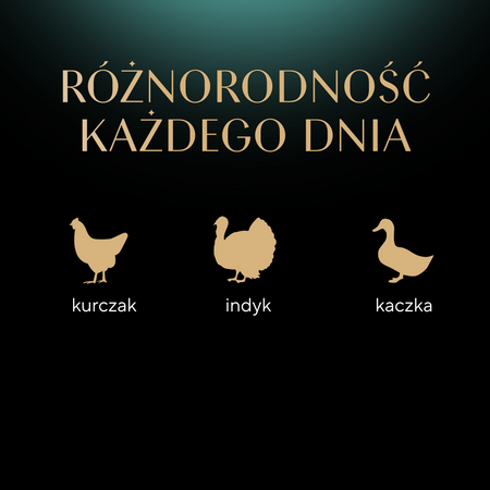 Sheba Fresh Fine kurczak indyk kaczka w sosie 6x50g