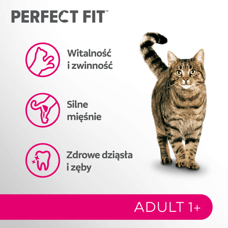 Perfect Fit™ Adult 1+ 7 kg – sucha karma pełnoporcjowa dla dorosłych kotów, bogata w kurczaka