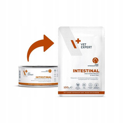 4T VET Diet intestinal cat 100g saszetka