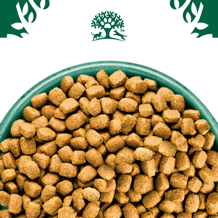 James Wellbeloved Adult 1,5 kg – sucha karma pełnoporcjowa dla dorosłych psów małych ras 6 miesięcy - 10 lat, bogata w indyka i ryż