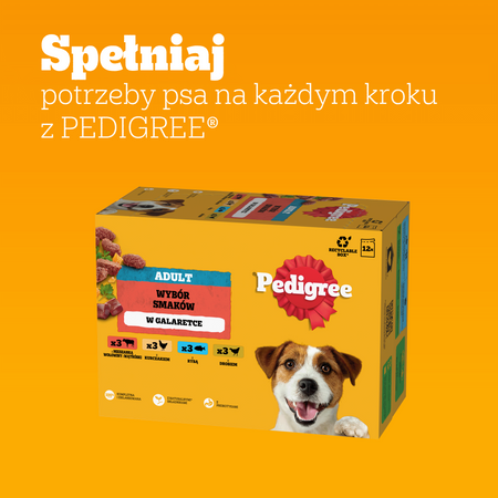 Pedigree Adult Wybór Smaków w galaretce 4x 12x 100g